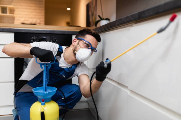 Pest Control for Restaurants in North Valley Stream, NY