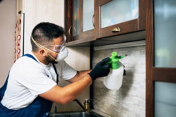 Best Best Pest Control Companies  in North Valley Stream, NY