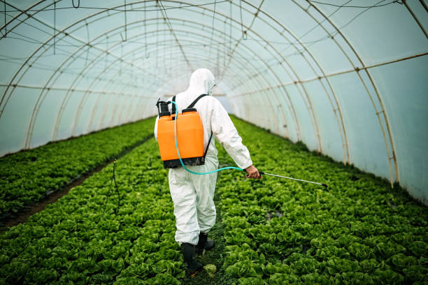 Best Pest Prevention Services  in North Valley Stream, NY