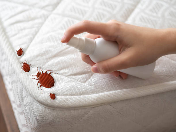 Best Wasp Removal Services  in North Valley Stream, NY