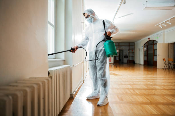 Reliable North Valley Stream, NY Pest Control Solutions