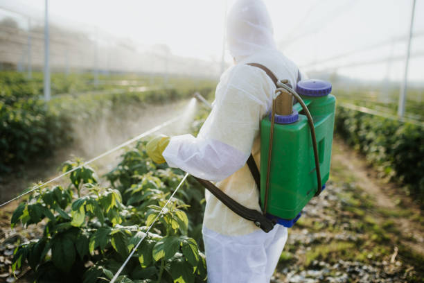 Pest Prevention Services in North Valley Stream, NY